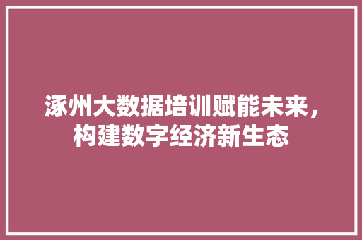 涿州大数据培训赋能未来，构建数字经济新生态