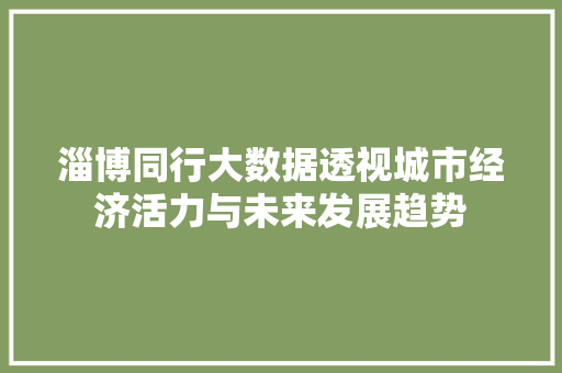 淄博同行大数据透视城市经济活力与未来发展趋势