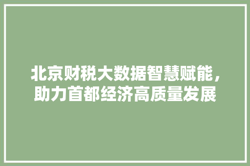 北京财税大数据智慧赋能，助力首都经济高质量发展  第1张