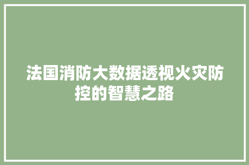 法国消防大数据透视火灾防控的智慧之路  第1张