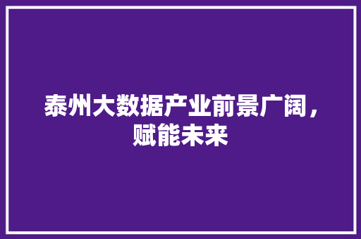 泰州大数据产业前景广阔，赋能未来  第1张