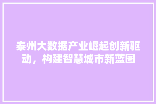 泰州大数据产业崛起创新驱动，构建智慧城市新蓝图  第1张