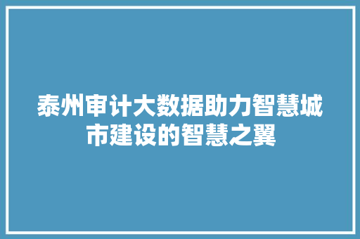 泰州审计大数据助力智慧城市建设的智慧之翼  第1张