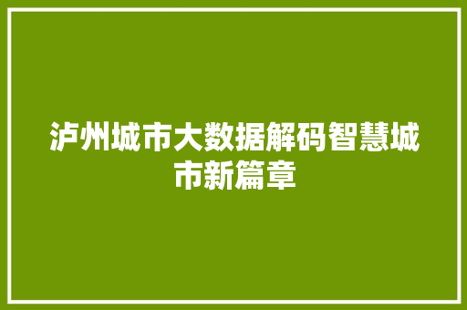 泸州城市大数据解码智慧城市新篇章  第1张