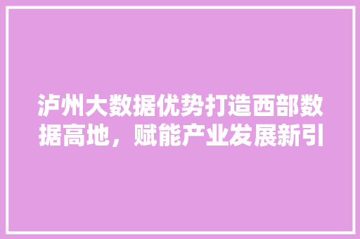 泸州大数据优势打造西部数据高地，赋能产业发展新引擎  第1张