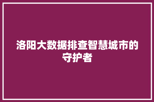 洛阳大数据排查智慧城市的守护者