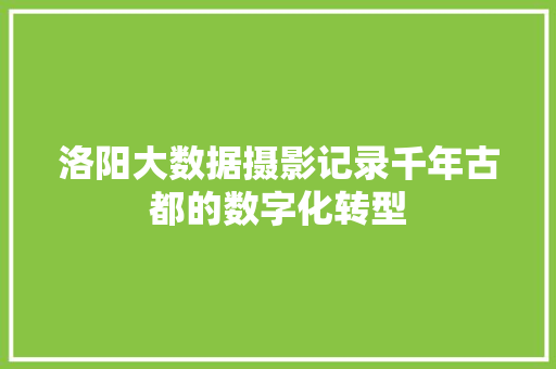 洛阳大数据摄影记录千年古都的数字化转型  第1张