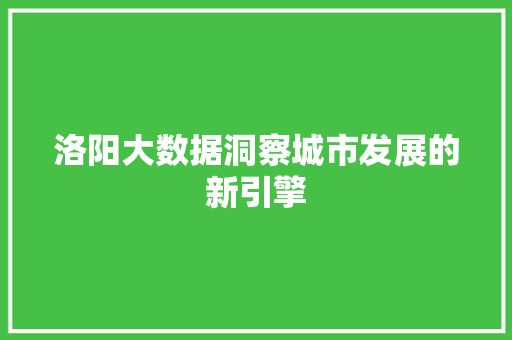 洛阳大数据洞察城市发展的新引擎  第1张