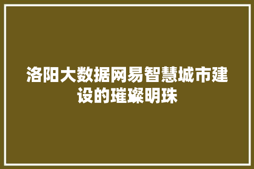 洛阳大数据网易智慧城市建设的璀璨明珠  第1张