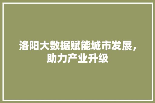 洛阳大数据赋能城市发展，助力产业升级  第1张