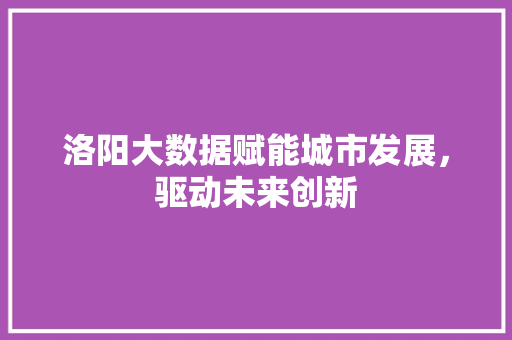 洛阳大数据赋能城市发展，驱动未来创新  第1张