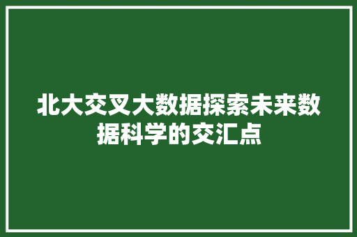 北大交叉大数据探索未来数据科学的交汇点