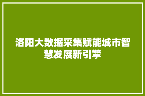 洛阳大数据采集赋能城市智慧发展新引擎  第1张
