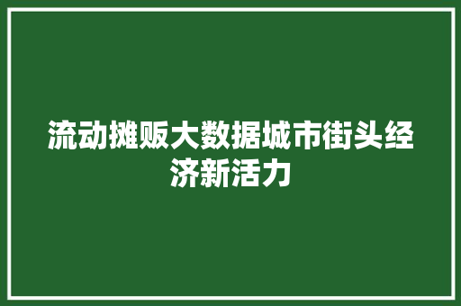 流动摊贩大数据城市街头经济新活力