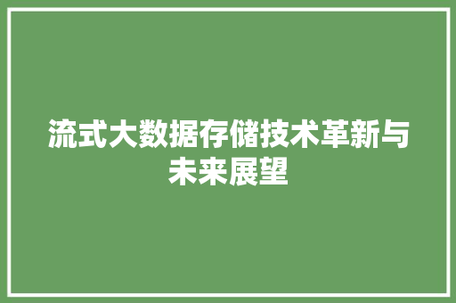流式大数据存储技术革新与未来展望  第1张