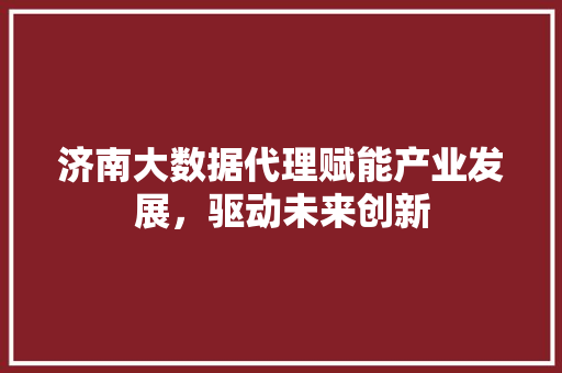 济南大数据代理赋能产业发展，驱动未来创新  第1张