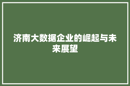 济南大数据企业的崛起与未来展望  第1张