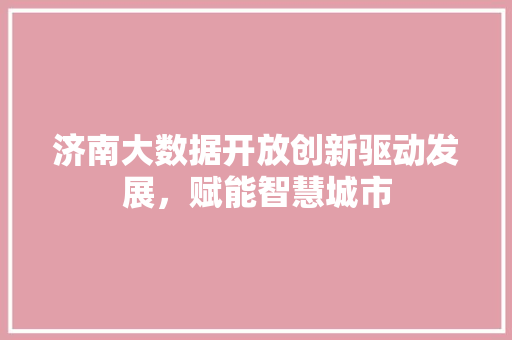 济南大数据开放创新驱动发展，赋能智慧城市  第1张