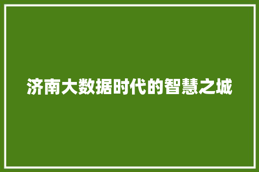 济南大数据时代的智慧之城  第1张