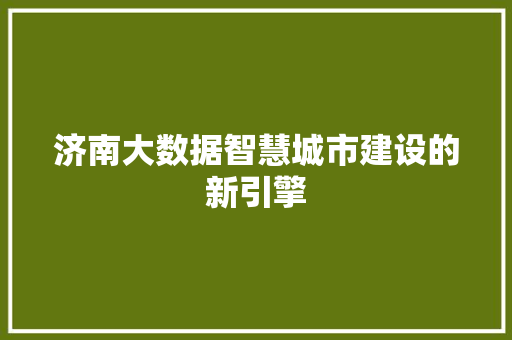 济南大数据智慧城市建设的新引擎  第1张