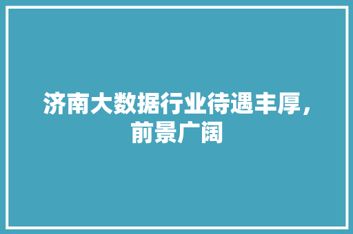 济南大数据行业待遇丰厚，前景广阔  第1张