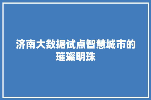 济南大数据试点智慧城市的璀璨明珠  第1张