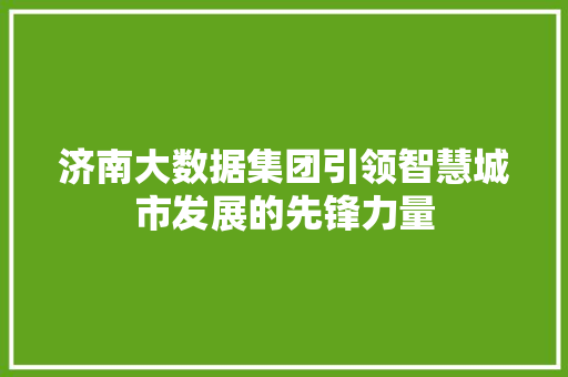 济南大数据集团引领智慧城市发展的先锋力量  第1张