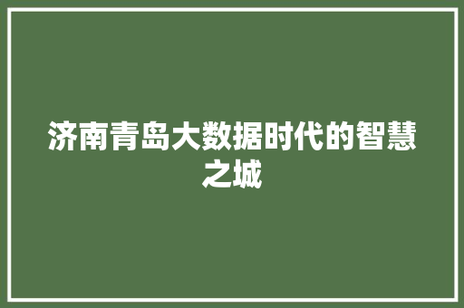 济南青岛大数据时代的智慧之城  第1张