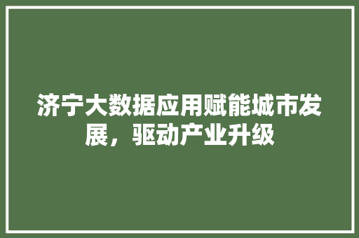 济宁大数据应用赋能城市发展，驱动产业升级