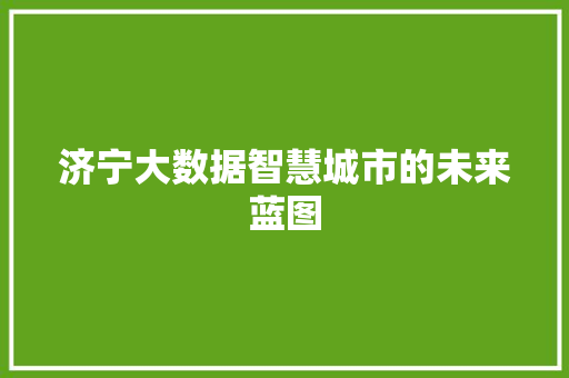 济宁大数据智慧城市的未来蓝图  第1张