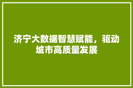 济宁大数据智慧赋能，驱动城市高质量发展  第1张