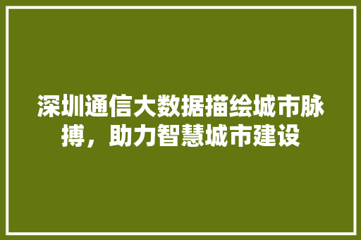 深圳通信大数据描绘城市脉搏，助力智慧城市建设