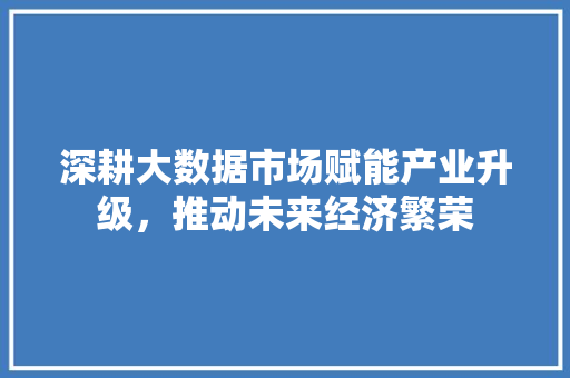 深耕大数据市场赋能产业升级，推动未来经济繁荣  第1张