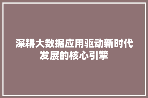深耕大数据应用驱动新时代发展的核心引擎  第1张
