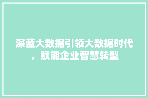 深蓝大数据引领大数据时代，赋能企业智慧转型