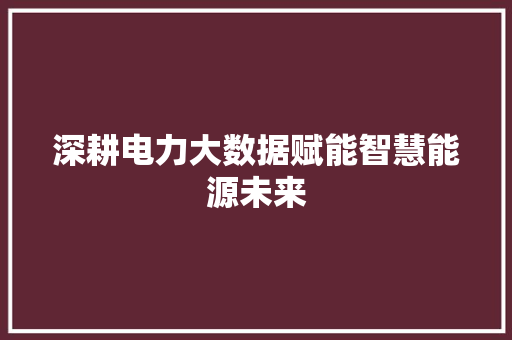 深耕电力大数据赋能智慧能源未来  第1张