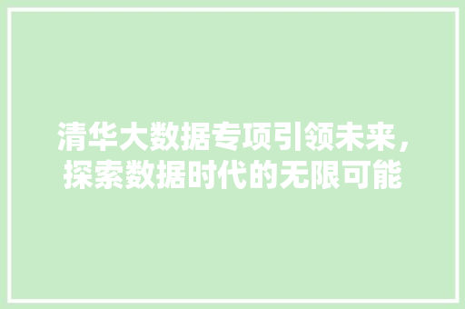清华大数据专项引领未来，探索数据时代的无限可能  第1张