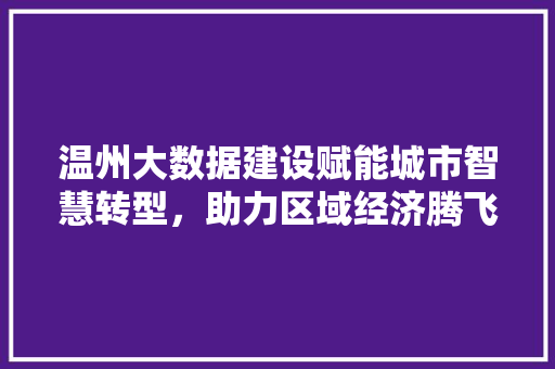 温州大数据建设赋能城市智慧转型，助力区域经济腾飞  第1张