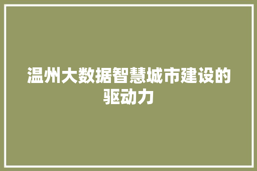 温州大数据智慧城市建设的驱动力  第1张