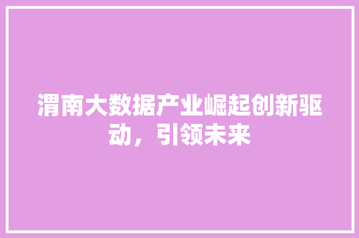 渭南大数据产业崛起创新驱动，引领未来  第1张