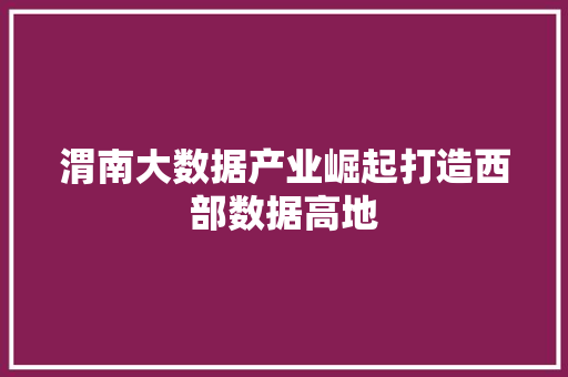 渭南大数据产业崛起打造西部数据高地  第1张