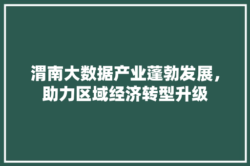 渭南大数据产业蓬勃发展，助力区域经济转型升级  第1张