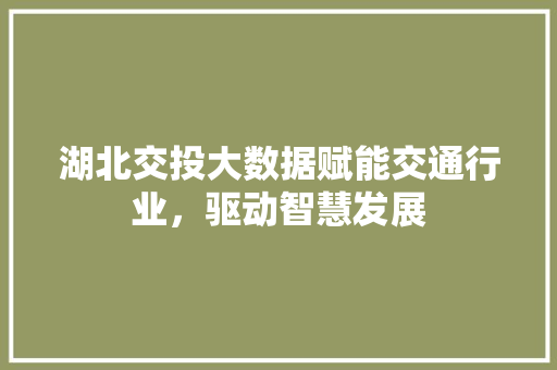湖北交投大数据赋能交通行业，驱动智慧发展