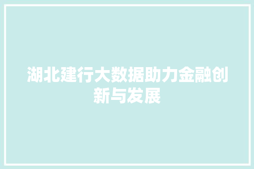 湖北建行大数据助力金融创新与发展