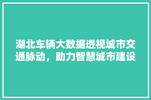 湖北车辆大数据透视城市交通脉动，助力智慧城市建设