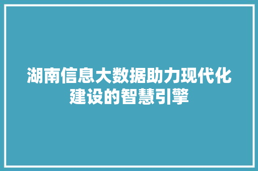 湖南信息大数据助力现代化建设的智慧引擎  第1张