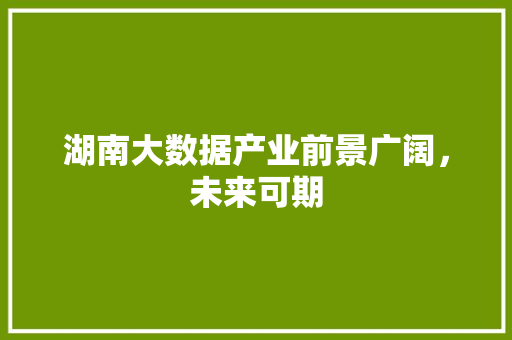 湖南大数据产业前景广阔，未来可期  第1张