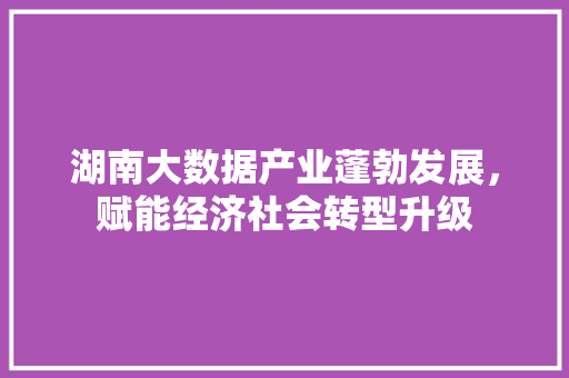 湖南大数据产业蓬勃发展，赋能经济社会转型升级  第1张