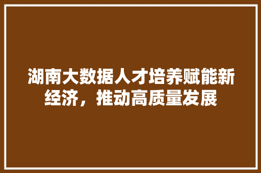 湖南大数据人才培养赋能新经济，推动高质量发展  第1张