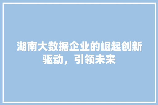 湖南大数据企业的崛起创新驱动，引领未来  第1张